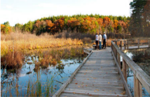 Broadmoor Wildlife Sanctuary