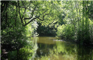 Habitat Education Center And Wildlife Sanctuary