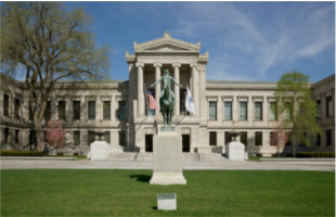 museum-of-fine-arts
